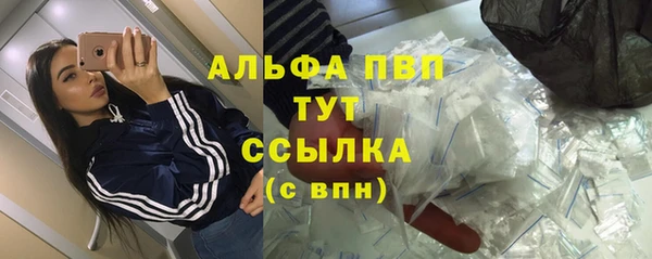 ПСИЛОЦИБИНОВЫЕ ГРИБЫ Белоозёрский