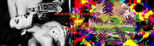 ПСИЛОЦИБИНОВЫЕ ГРИБЫ Белоозёрский