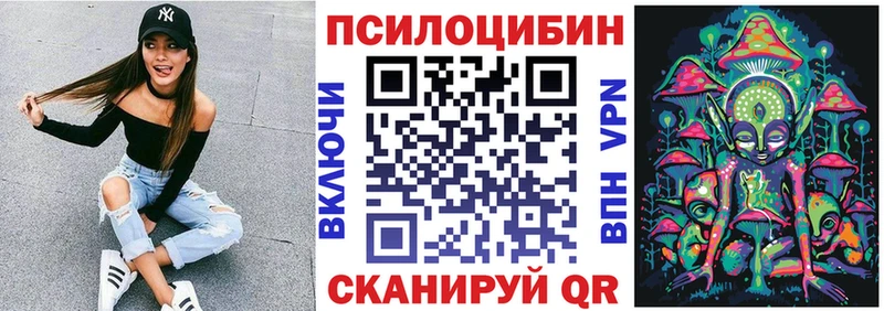 это клад  Константиновск  Псилоцибиновые грибы GOLDEN TEACHER 